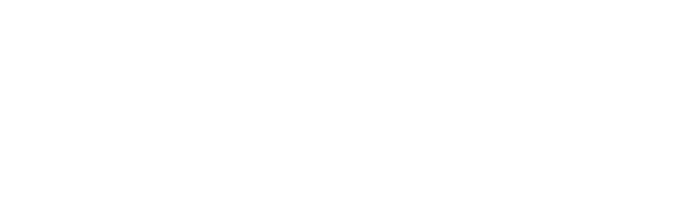 1xPay